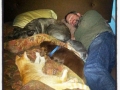 Corey_dogs_and_cats