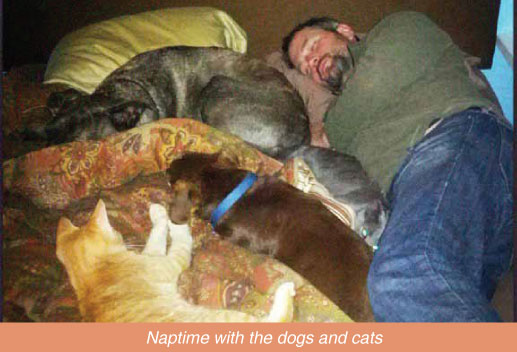 Naptime with the dogs and cats